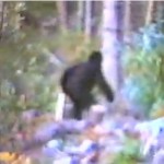 Video of Bigfoot Sighting Near Seattle
