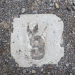 3 Toed Cryptid Footprints