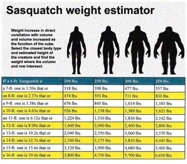 what-does-a-bigfoot-weigh