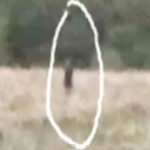 Copycat Bigfoot Hoaxer in Florida