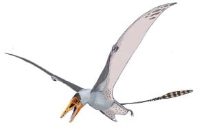 Pterosaur as the Snallygaster