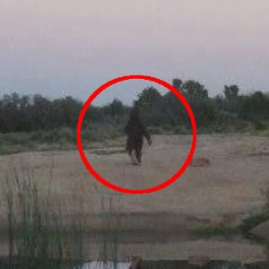 Southern Utah Bigfoot