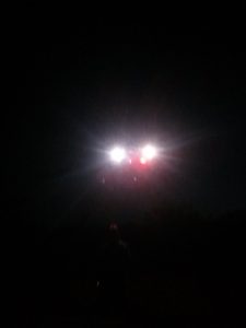 cell phone photo of alien and UFO