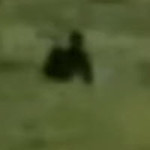 Proof Of Bigfoot Caught On IMAX Film