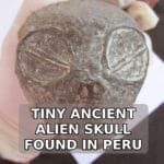Tiny Alien Skull Found In Peru