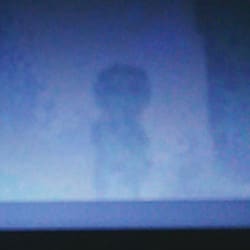 Alien caught on webcam