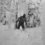 Buryatia Bigfoot