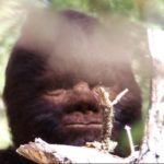Discovering Bigfoot Movie Reviewed
