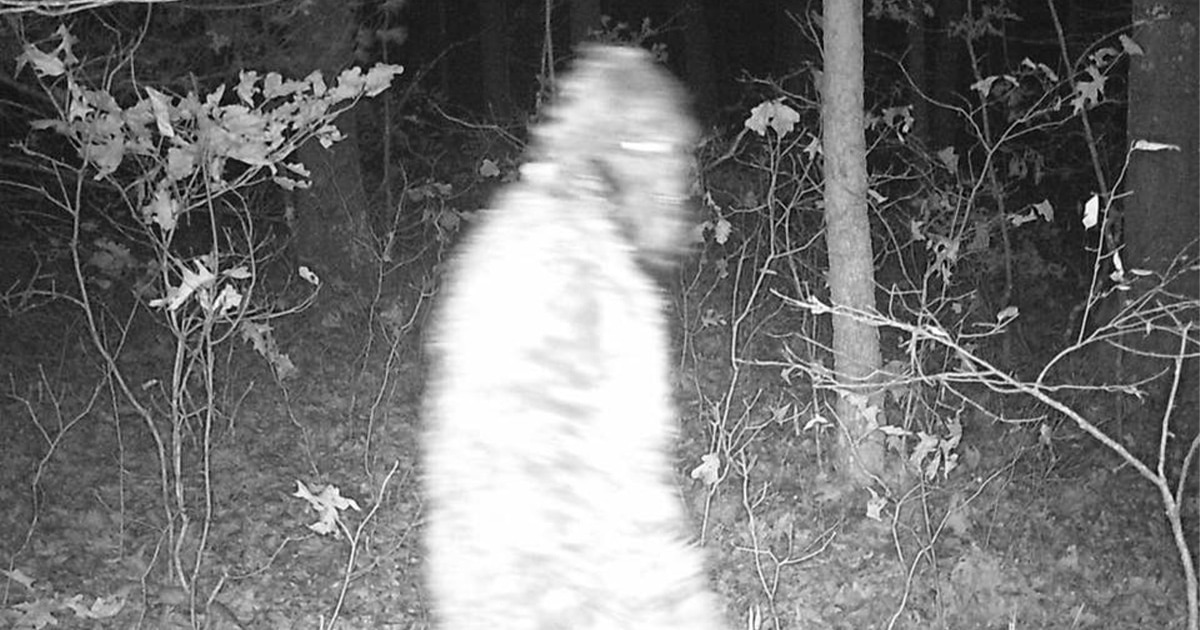 Macatawa Michigan Bigfoot photo - ParaRational