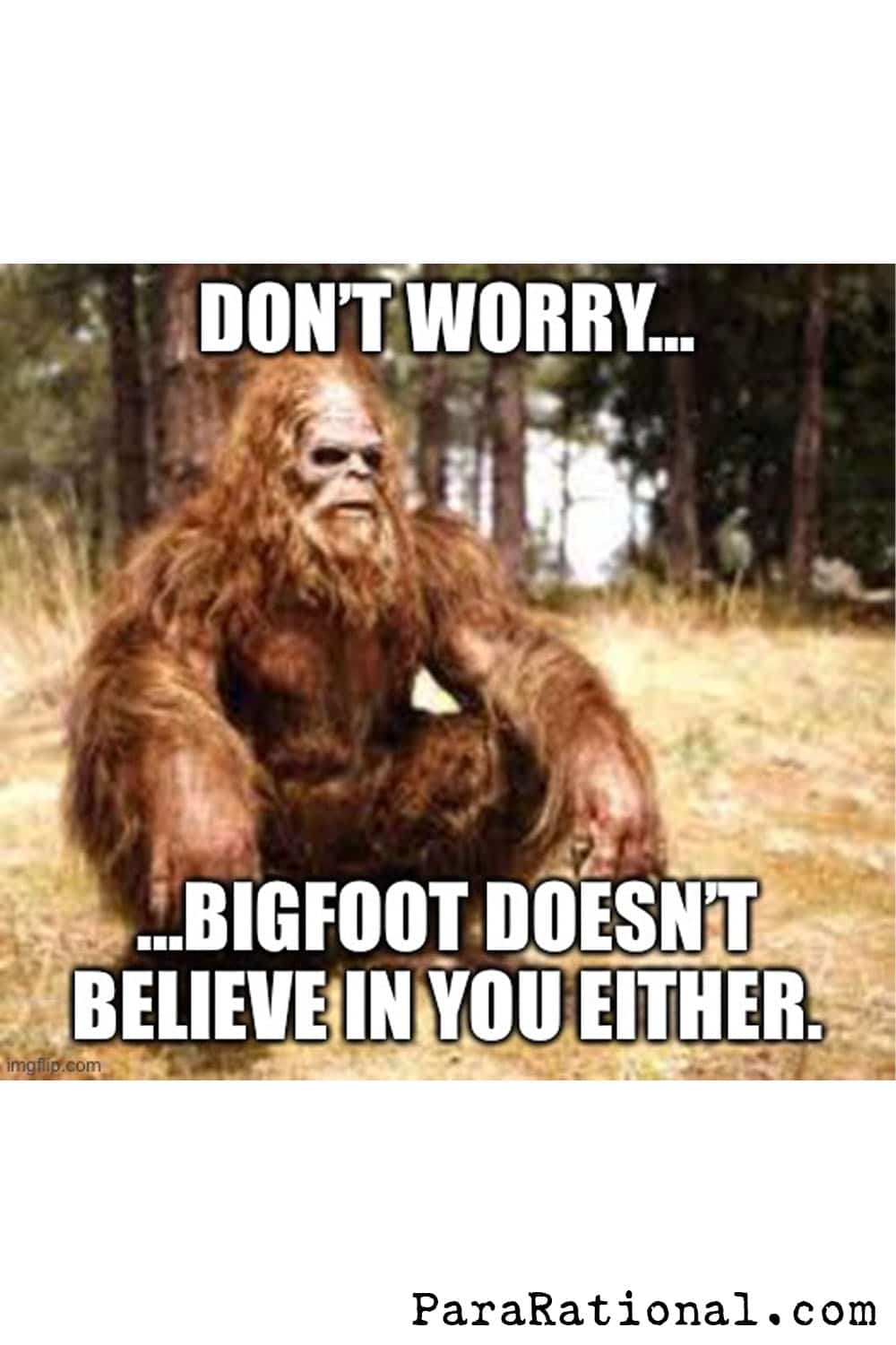 Bigfoot Memes - ParaRational