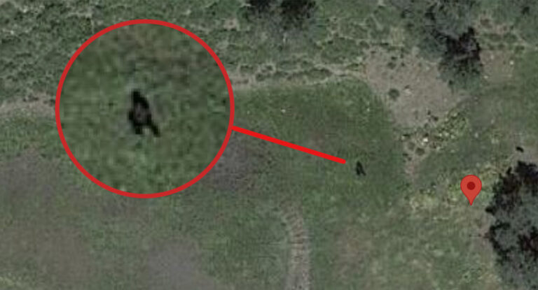 Bigfoot in Colorado caught on a Google Earth photo (With location)